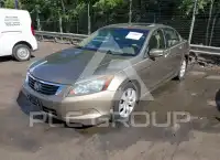 2008 Honda Accord фото