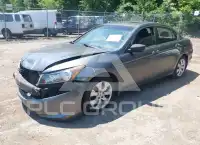 2008 Honda Accord photo