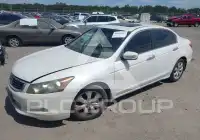 2008 Honda Accord фото