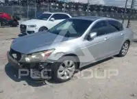 2008 Honda Accord фото