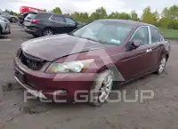 2008 Honda Accord фото