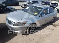2008 Honda Accord фото