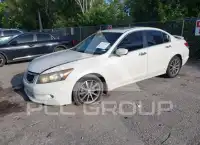 2008 Honda Accord фото