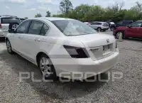 2008 Honda Accord photo