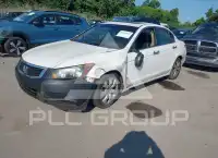 2008 Honda Accord photo