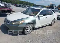2008 Honda Accord фото