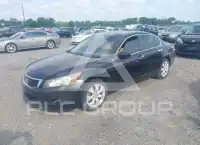 2008 Honda Accord фото