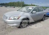 2008 Honda Accord фото