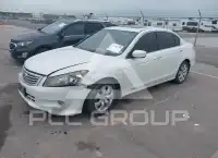 2008 Honda Accord фото