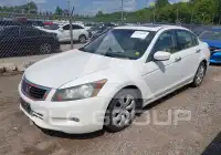 2008 Honda Accord фото