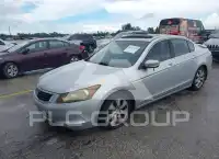 2008 Honda Accord фото
