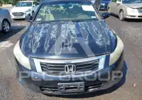 2008 Honda Accord фото