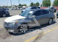 2008 Honda Accord photo
