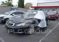 2008 Honda Accord photo