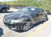 2008 Honda Accord фото