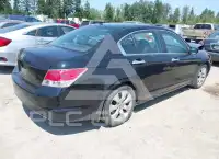 2008 Honda Accord фото