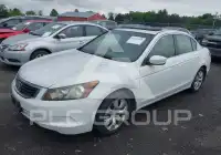 2008 Honda Accord фото