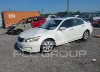 2008 Honda Accord фото