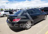 2008 Honda Accord фото