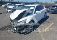 2008 Honda Accord photo