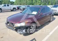 2008 Honda Accord фото