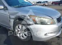 2008 Honda Accord photo