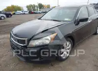 2008 Honda Accord photo