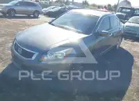 2008 Honda Accord photo