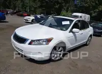 2008 Honda Accord photo