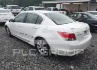 2008 Honda Accord фото
