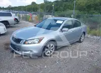 2008 Honda Accord photo