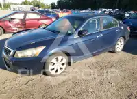 2008 Honda Accord фото