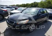 2008 Honda Accord фото