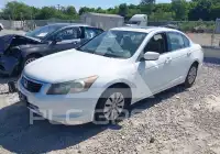 2008 Honda Accord photo