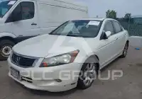 2008 Honda Accord фото