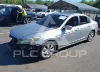 2008 Honda Accord фото