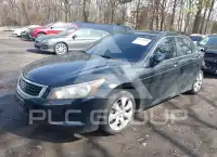 2008 Honda Accord фото