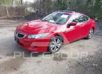 2008 Honda Accord photo