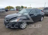 2008 Honda Accord photo
