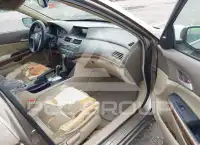 2008 Honda Accord photo
