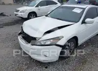 2008 Honda Accord фото