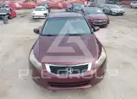 2008 Honda Accord фото