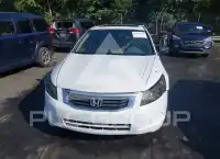 2008 Honda Accord photo