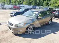2008 Honda Accord фото