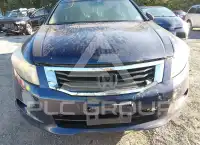 2008 Honda Accord фото