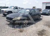 2008 Honda Accord фото