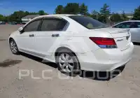 2008 Honda Accord фото