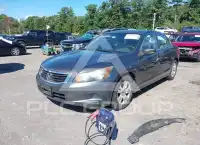 2008 Honda Accord фото