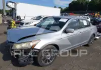 2008 Honda Accord фото