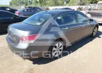 2008 Honda Accord photo